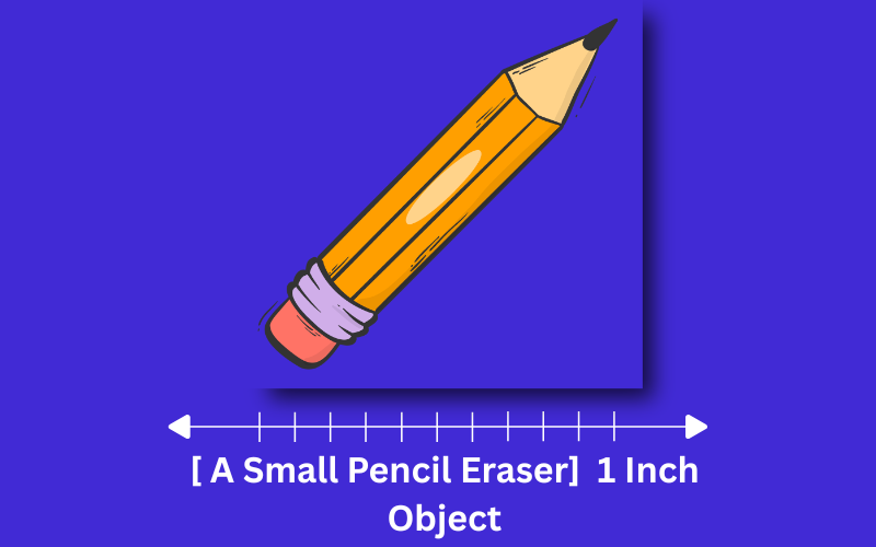 how long is 1 inch