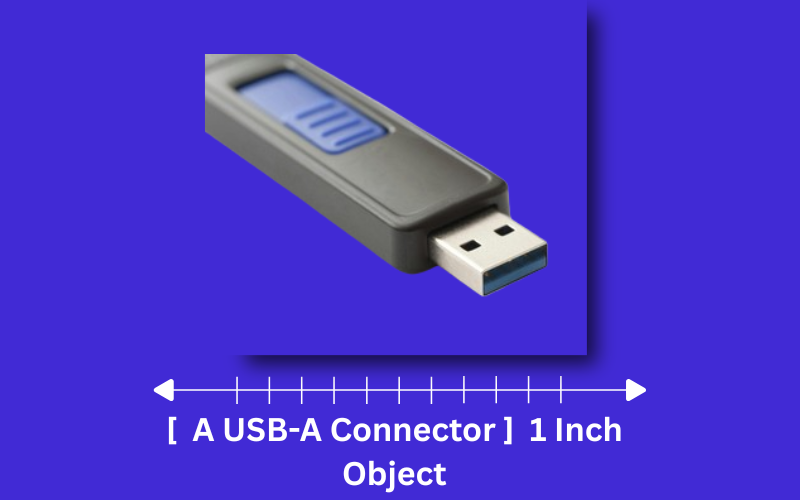 how long is 1 inch