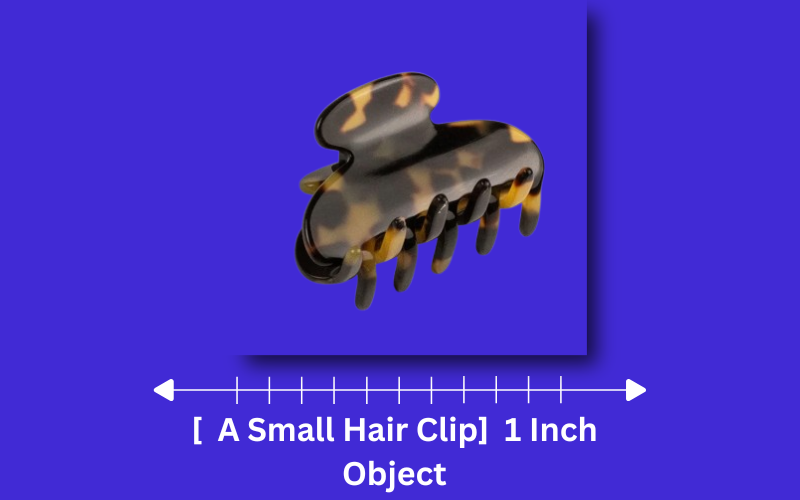 how long is 1 inch