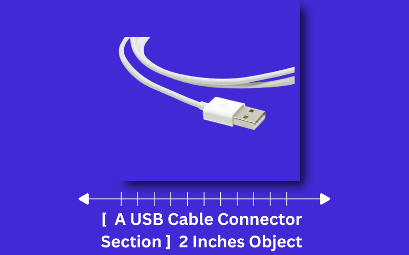 how long is 2 inches