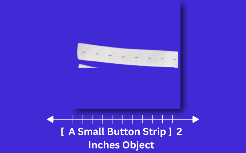 how long is 2 inches