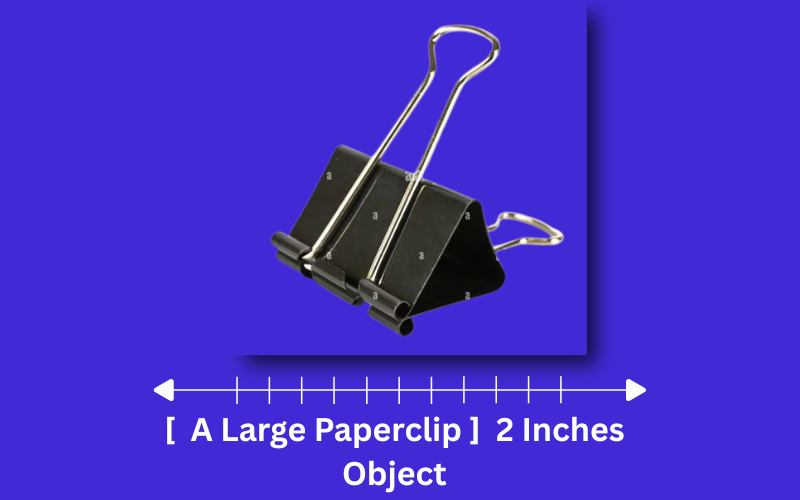 how long is 2 inches