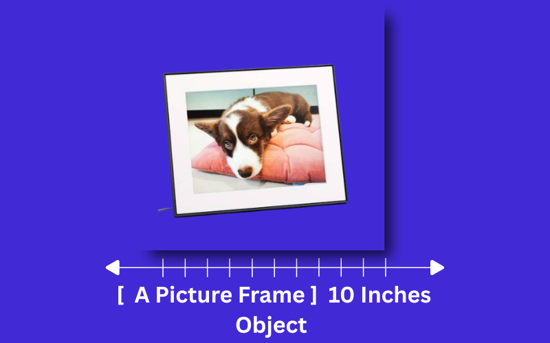 how long is 10 inches