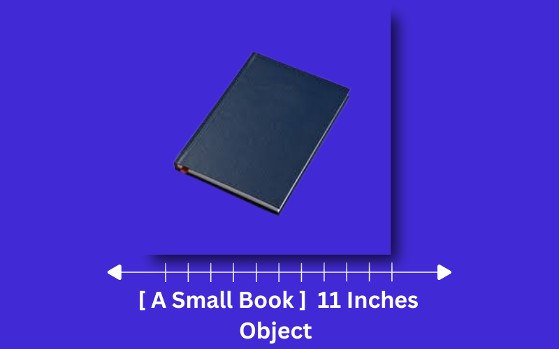 how long is 11 inches