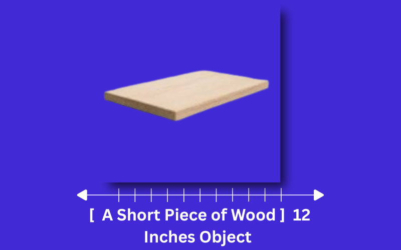 how long is 12 inches
