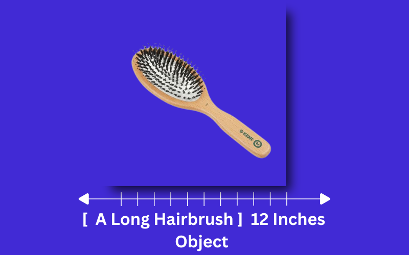 how long is 12 inches