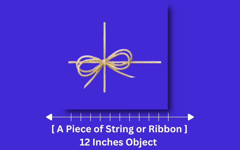 how long is 12 inches