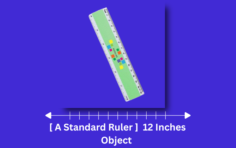 how long is 12 inches