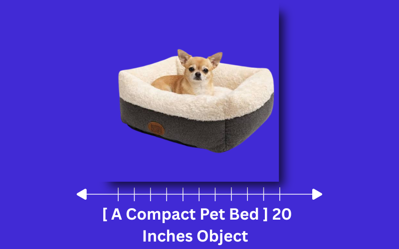 how long is 20 inches