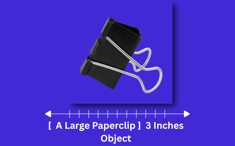 how long is 3 inches