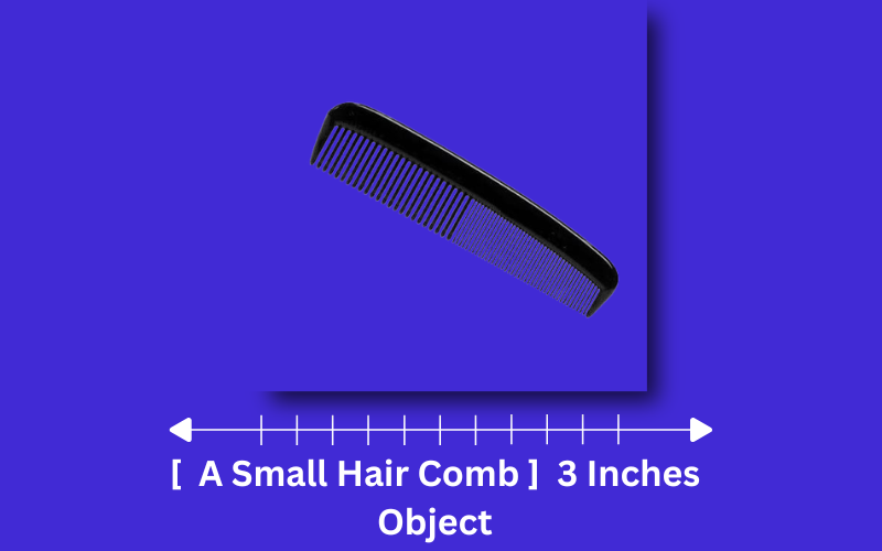 how long is 3 inches