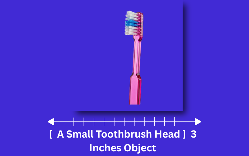 how long is 3 inches