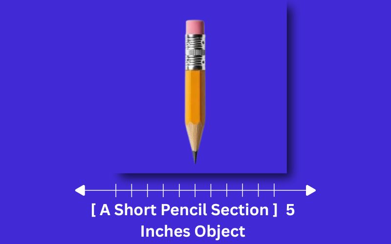 how long is 5 inches