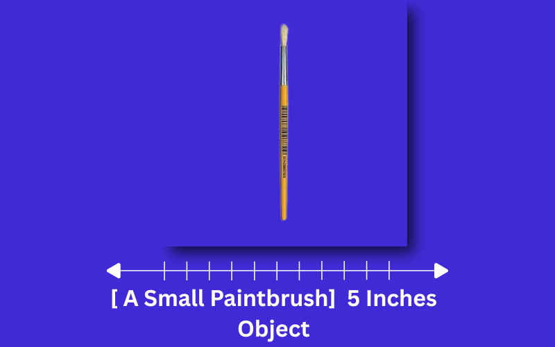 how long is 5 inches