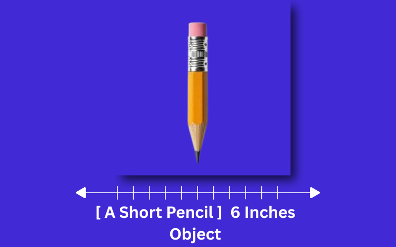 how long is 6 inches