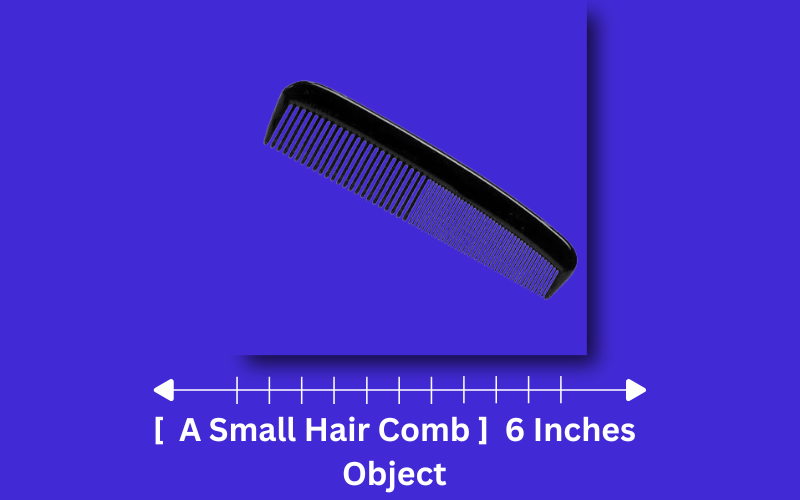 how long is 6 inches