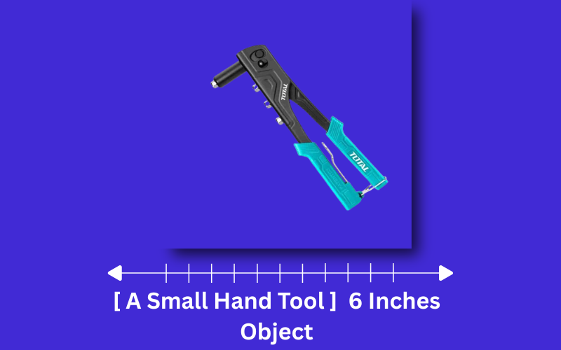 how long is 6 inches