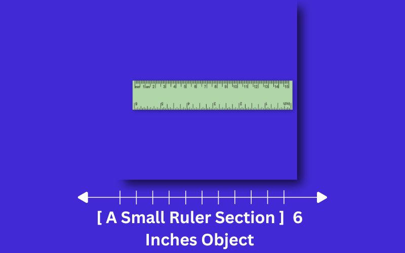 how long is 6 inches