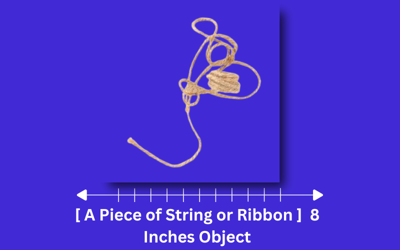 how long is 8 inches