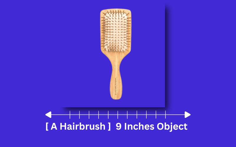 how long is 9 inches