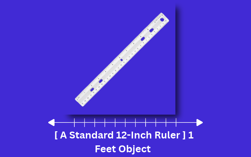 how long is 1 feet