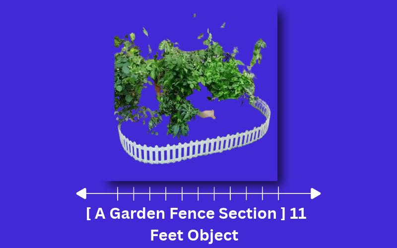 how long is 11 feet