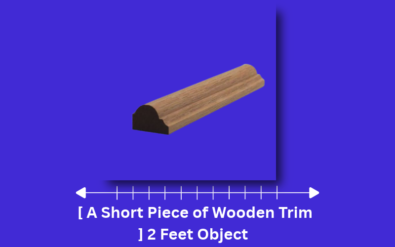 how long is 2 feet