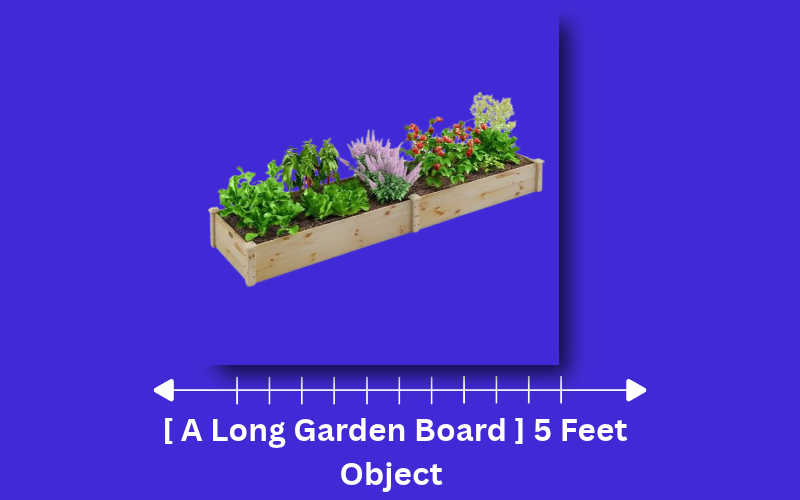 how long is 5 feet