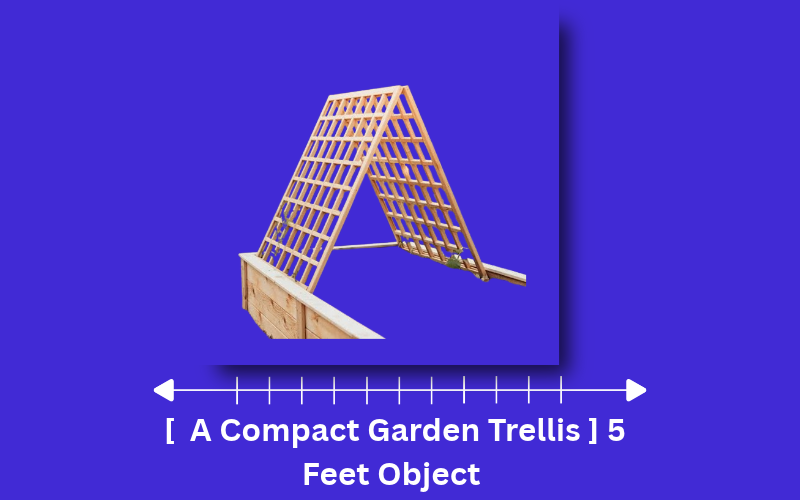how long is 5 feet