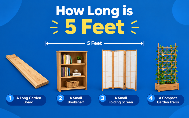 how long is 5 feet